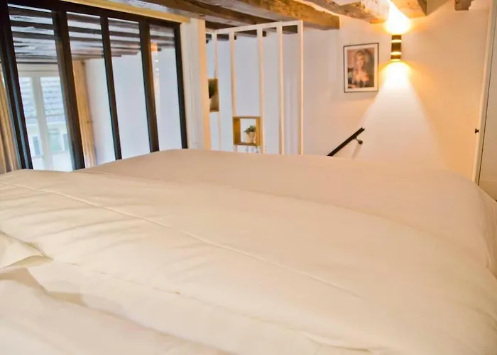 Modern Loft Saint Germain Luxembourg Odeon